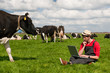 Photo: Young farmer with laptop in field with cows Young farmer with laptop in field with cows