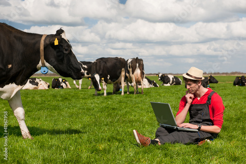Photo: Young farmer with laptop in field with cows Young farmer with laptop in field with cows