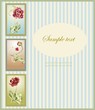 Greeting card with peony. Illustration peony.