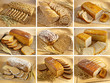 Set of breads