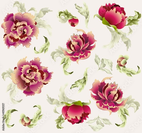 Vektor: Seamless background. Illustration peony. Seamless background. Illustration peony.