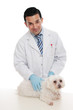 Foto: Friendly vet holding pet animal Friendly vet holding pet animal