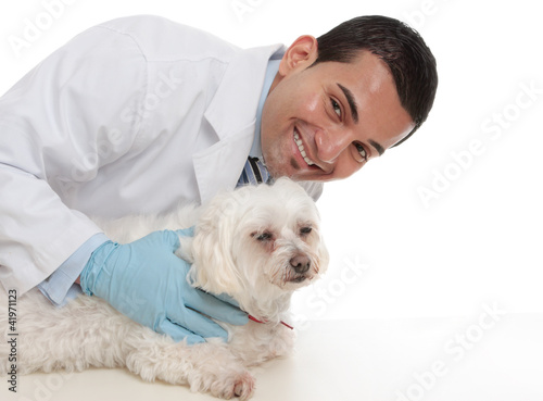 Photo: Friendly caring vet with a sick animal Friendly caring vet with a sick animal