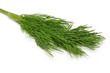 Dill