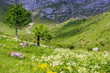 Paysage de montagne