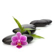 Zen pebbles path. Spa and healthcare concept.