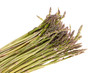 Fresh Asparagus