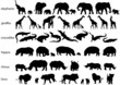 Wild animals
