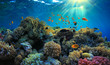 Underwater view