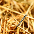 Needle and hay.