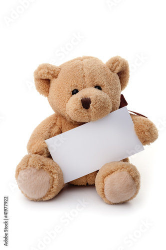 Foto: Teddy bear holding white banner Teddy bear holding white banner