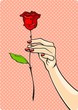 Rose in a hand