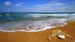 seascape with fishing nets. seascape with fishing nets.