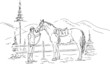 young woman and horse