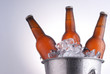 Foto: beer bottles beer bottles