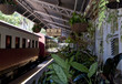 Kuranda Scenic Rail station, Queensland, Australia