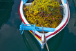 grèce; ioniennes, kefalonia : lixouri, port