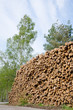 Logs