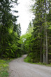 Winding road
