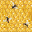 Background with bees, and honeycomb