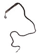 leather whip isolated on white background
