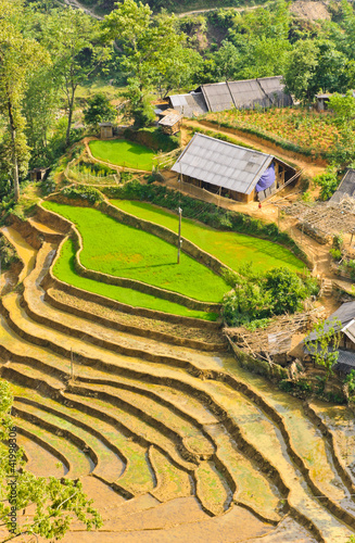 Photo: Vietnamese rice terraced fields Vietnamese rice terraced fields