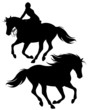 fine silhouettes of horseman and wild horse