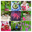 Gartencollage
