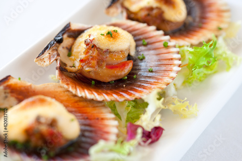 Photo: Macro queen scallop close up. Macro queen scallop close up.