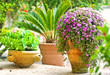 Gartenidylle