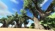 African savannah
