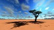 African savannah