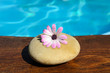 Pool and flower