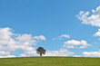 Photo : Solitude Solitude