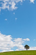 Photo : Solitude Solitude