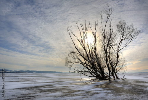 Photo: winter landscape winter landscape