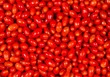 Photo: Roma Tomatoes Roma Tomatoes