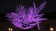 Sapin de noel LED