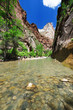 A walk through the Narrows at Temple of Sinawava