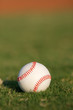 Baseball on the Field