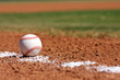 Baseball on the Field