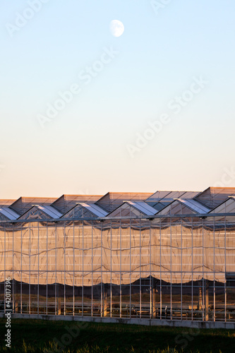 Photo: Sideview of a greenhouse in the evening Sideview of a greenhouse in the evening