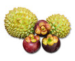 The King and Queen of Fruits. Durian and Mangosteen