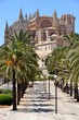 Palmen vor Kathedrale "La Seu"