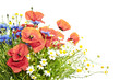 wild flowers