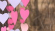 Fluttering in the wind garlands of paper hearts, Close up