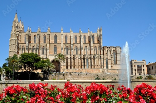 Foto: Rote Rosen und Fontäne und Kathedrale "La Seu" Rote Rosen und Fontäne und Kathedrale "La Seu"
