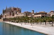 Foto: Palmen und Kathedrale "La Seu" Palmen und Kathedrale "La Seu"