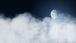 Video: Moonlight Moonlight