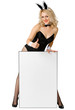 Sexy girl dressed as a playful rabbit with a poster